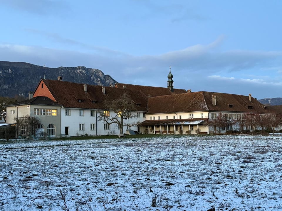 Property building, Winter, Garden