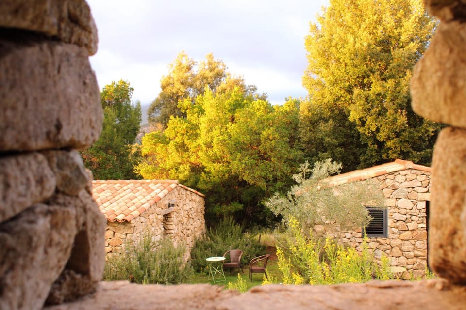 Bergerie du Prunelli Bed and Breakfast in Corsica
