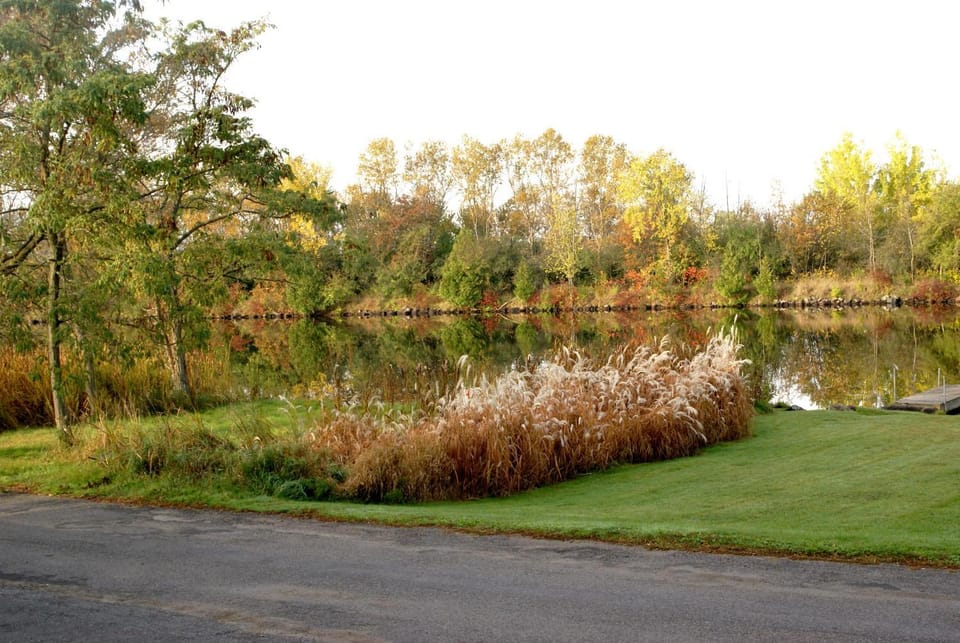 Autumn, On site