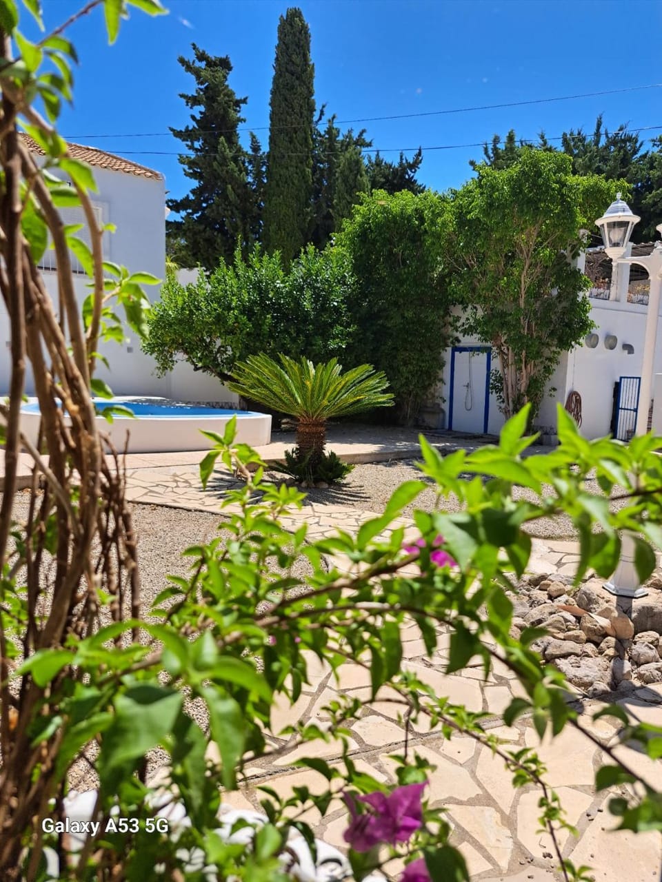 Garden view