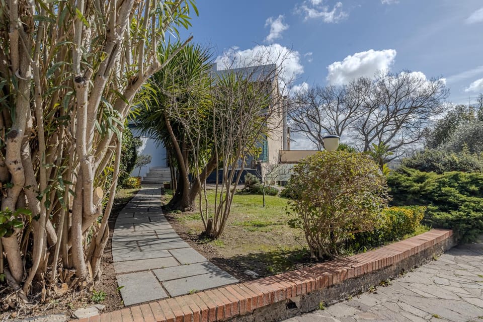 Facade/entrance, Garden