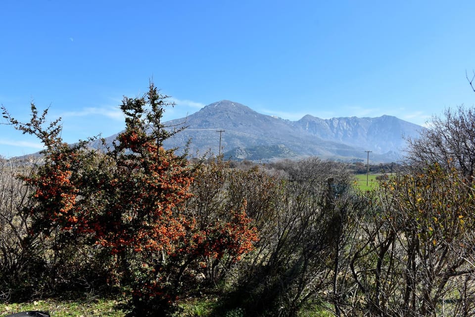 Mountain view