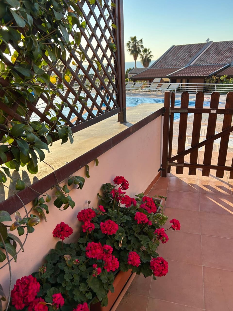Garden view