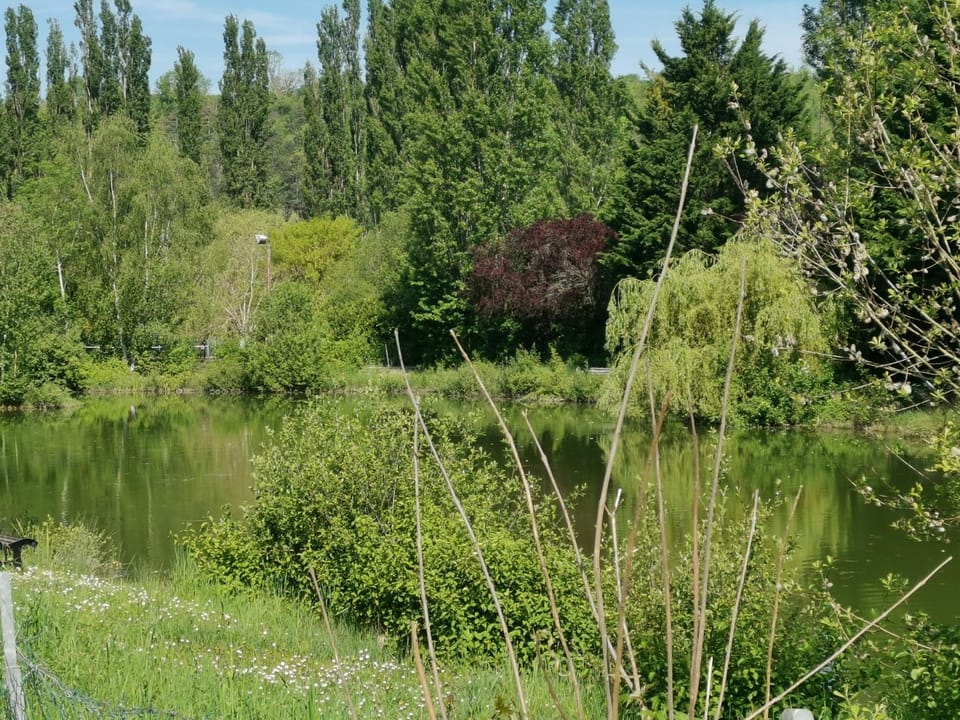 Natural landscape