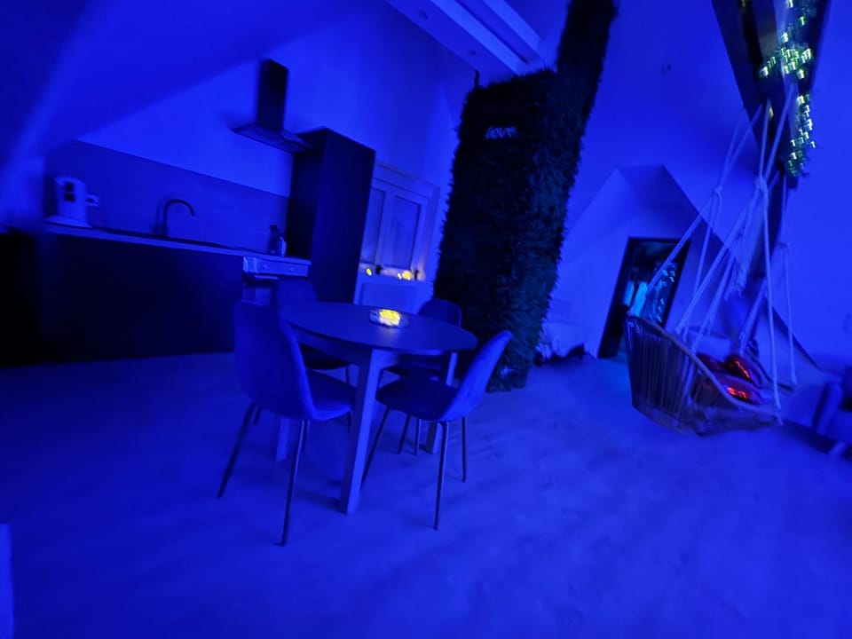 Love appartement proche plage Apartment in Wimereux