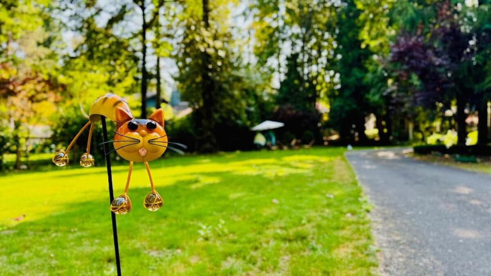 Joy House House in Woodinville