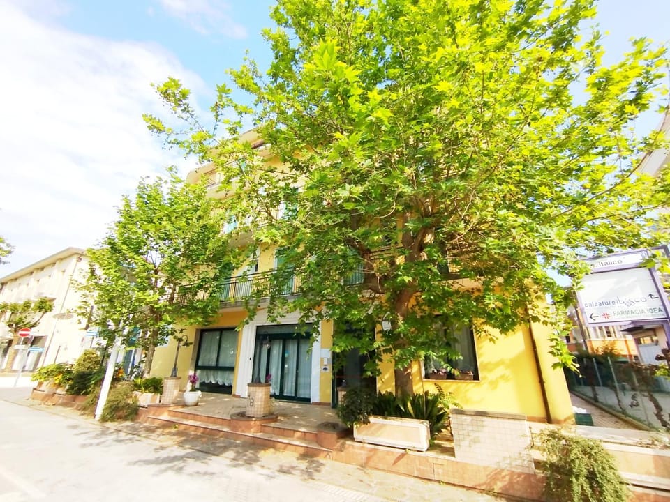 Property building, Day, Neighbourhood, Street view