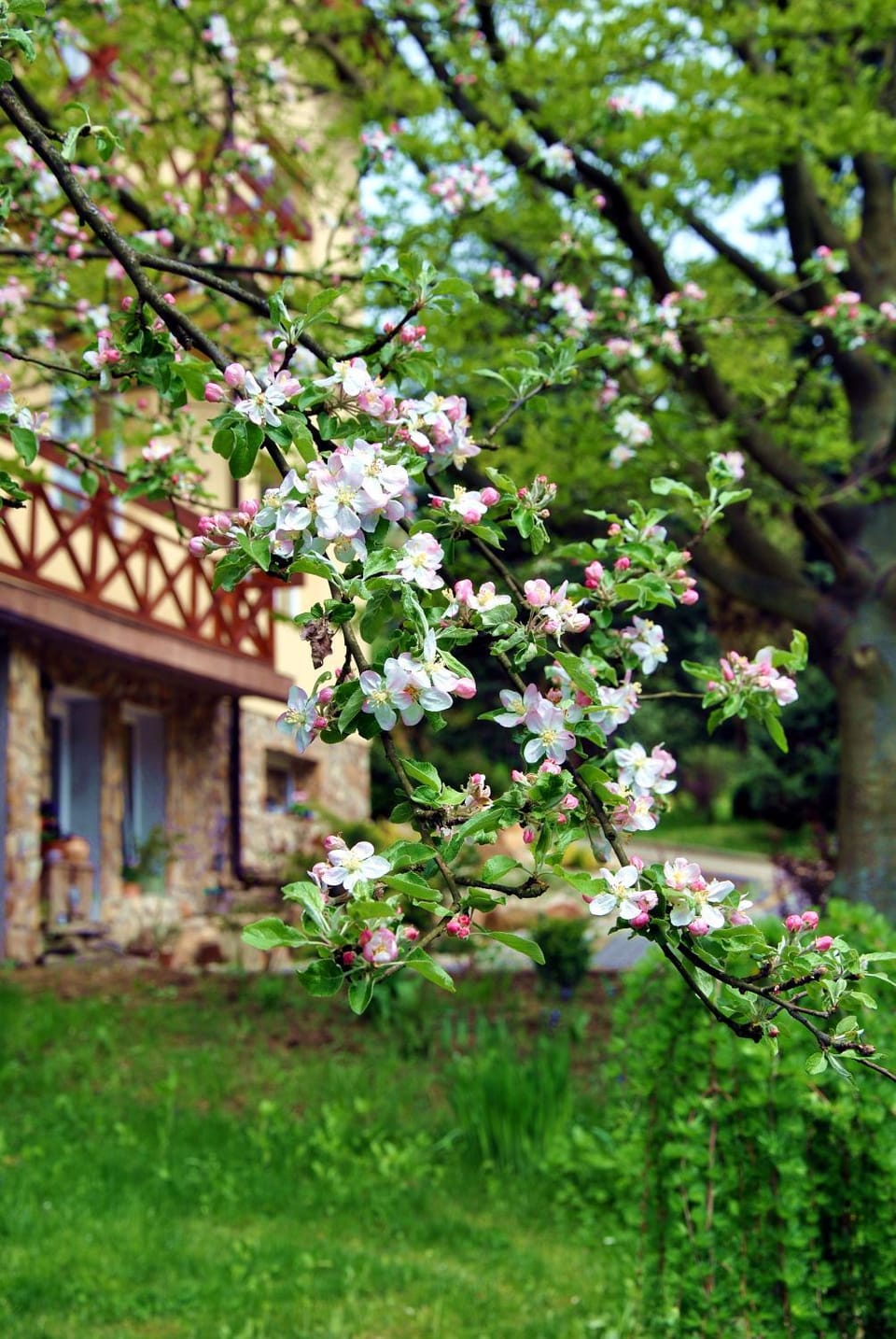 Natural landscape