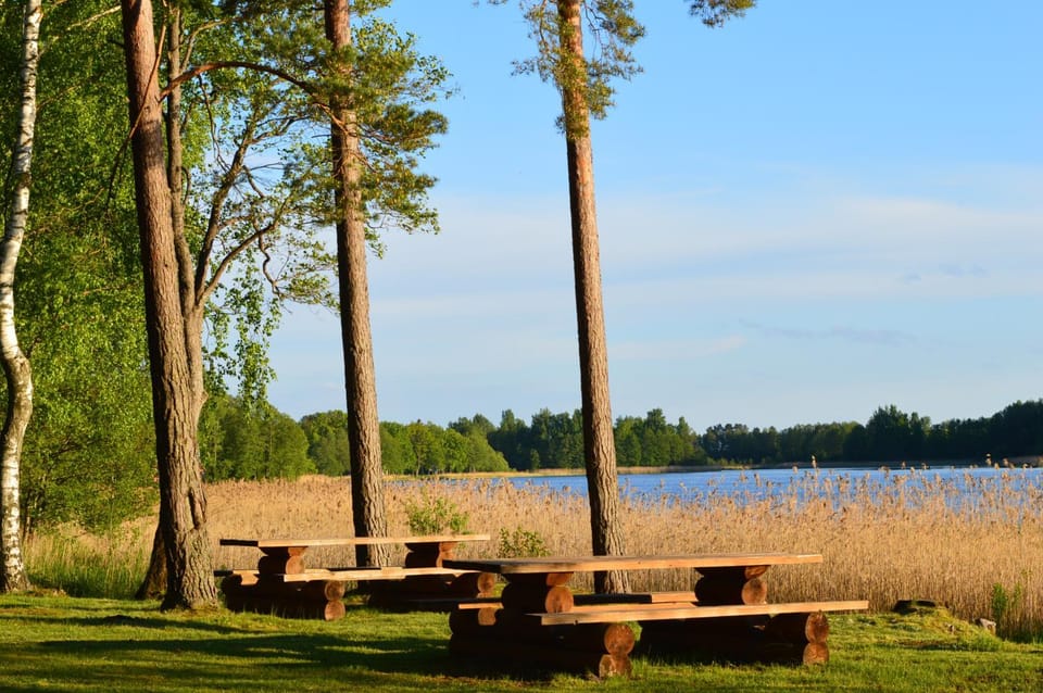 Natural landscape, Garden, Lake view