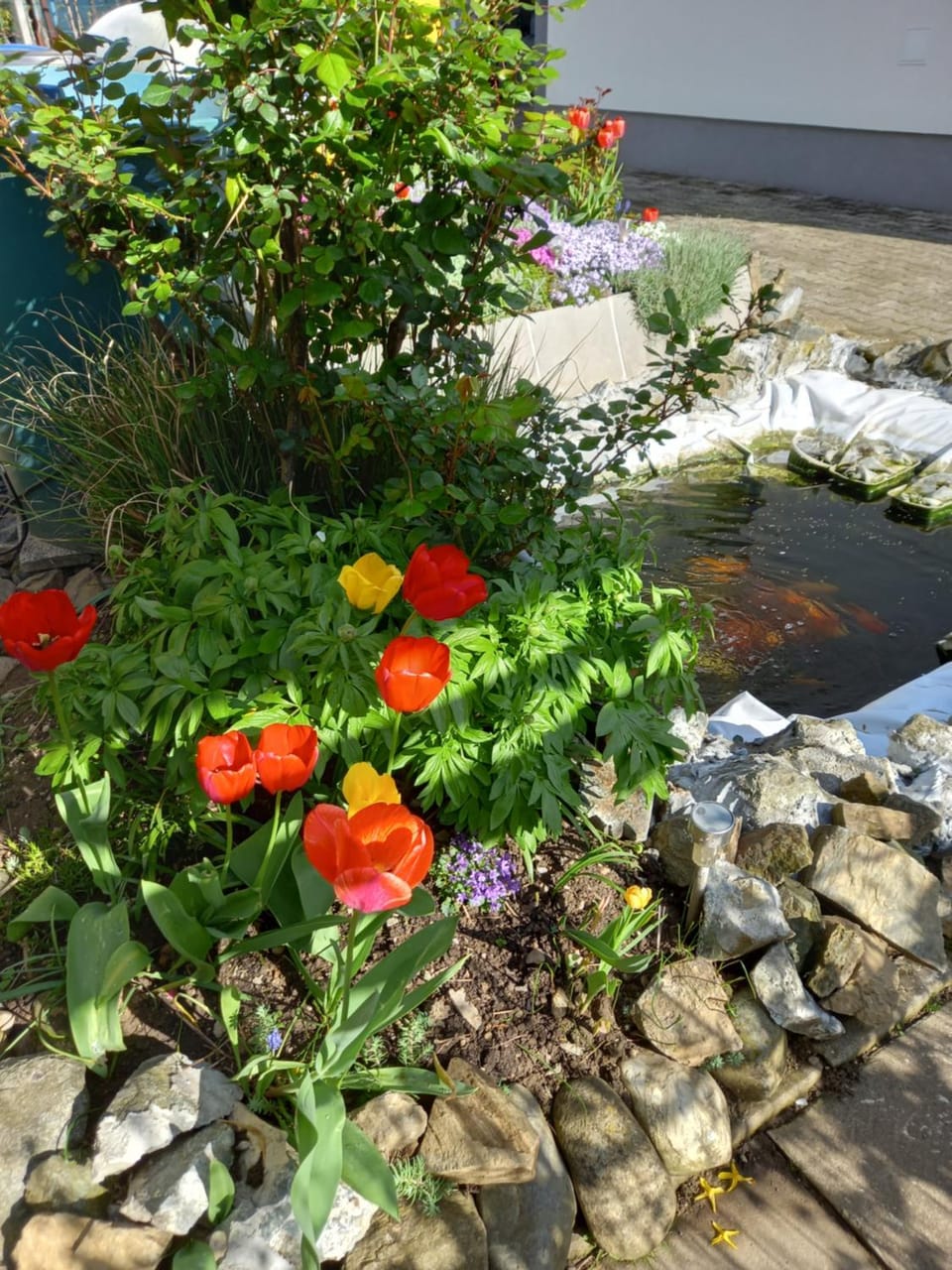 Apartment Zorec Vacation rental in Slovenia