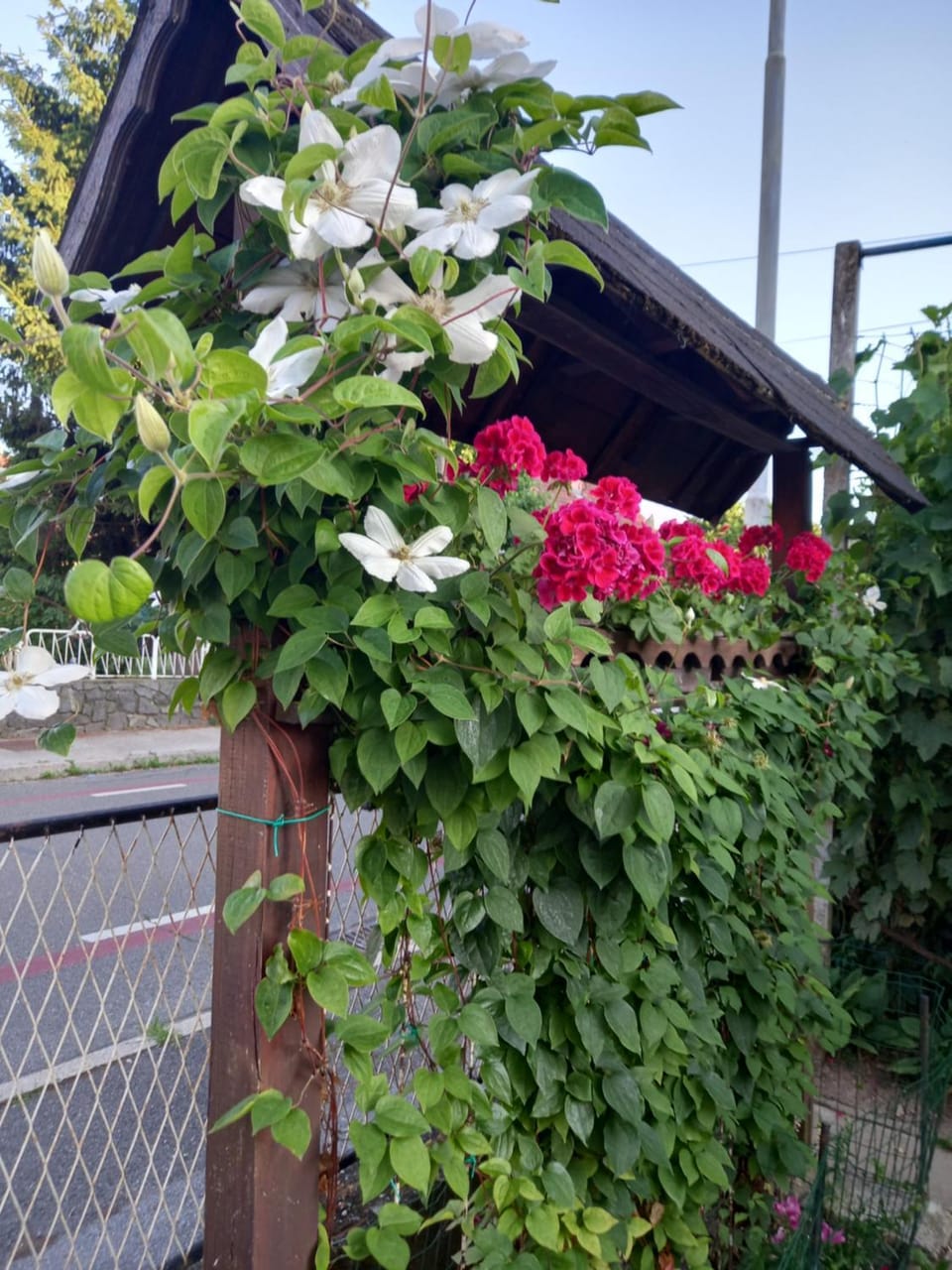 Apartment Zorec Vacation rental in Slovenia