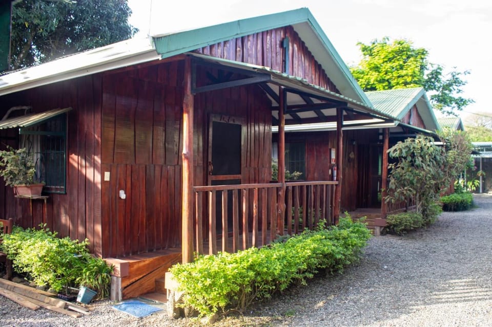 Property building, Garden, Garden view