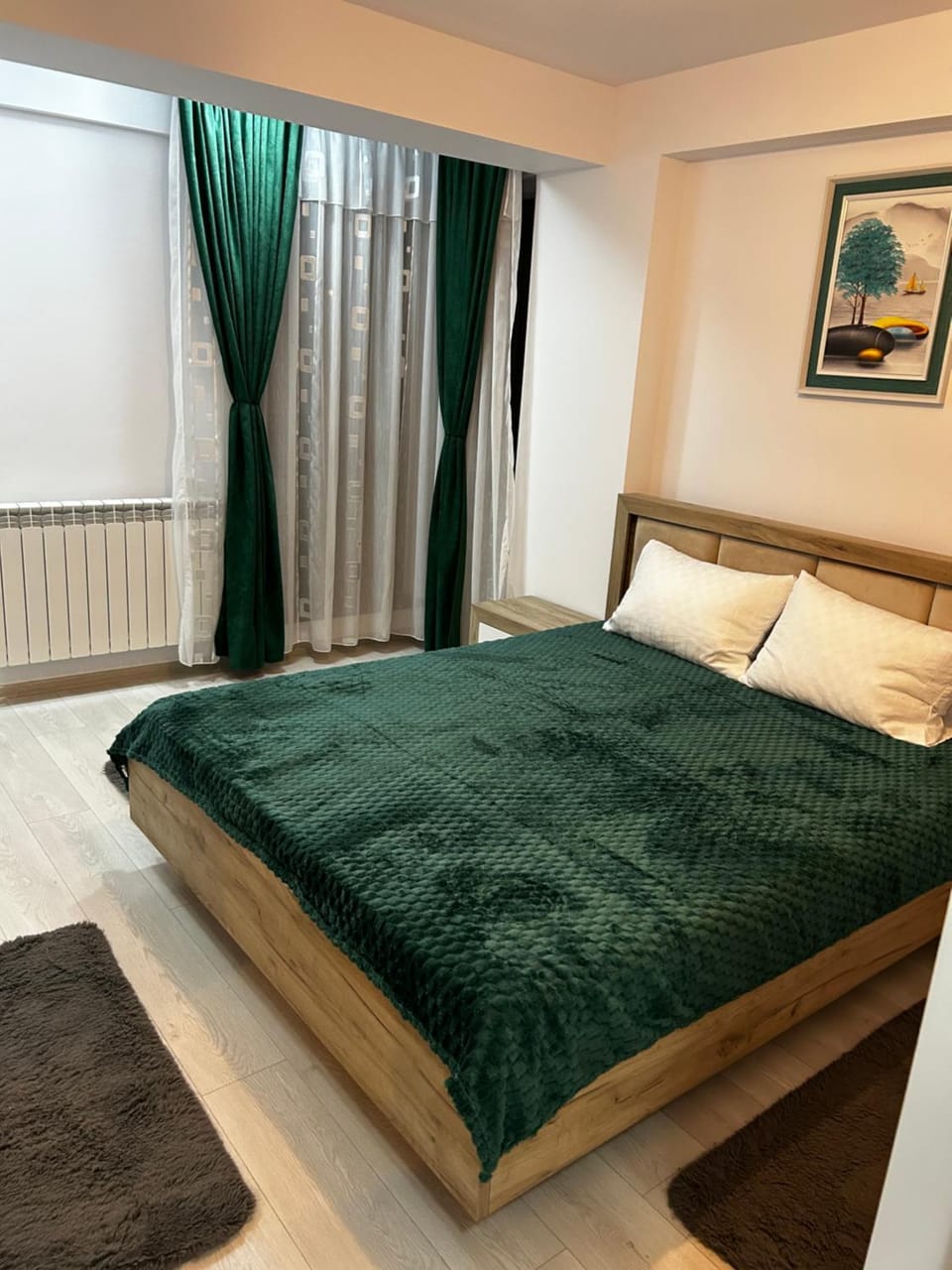 Apartamentul Verde Apartment in Romania