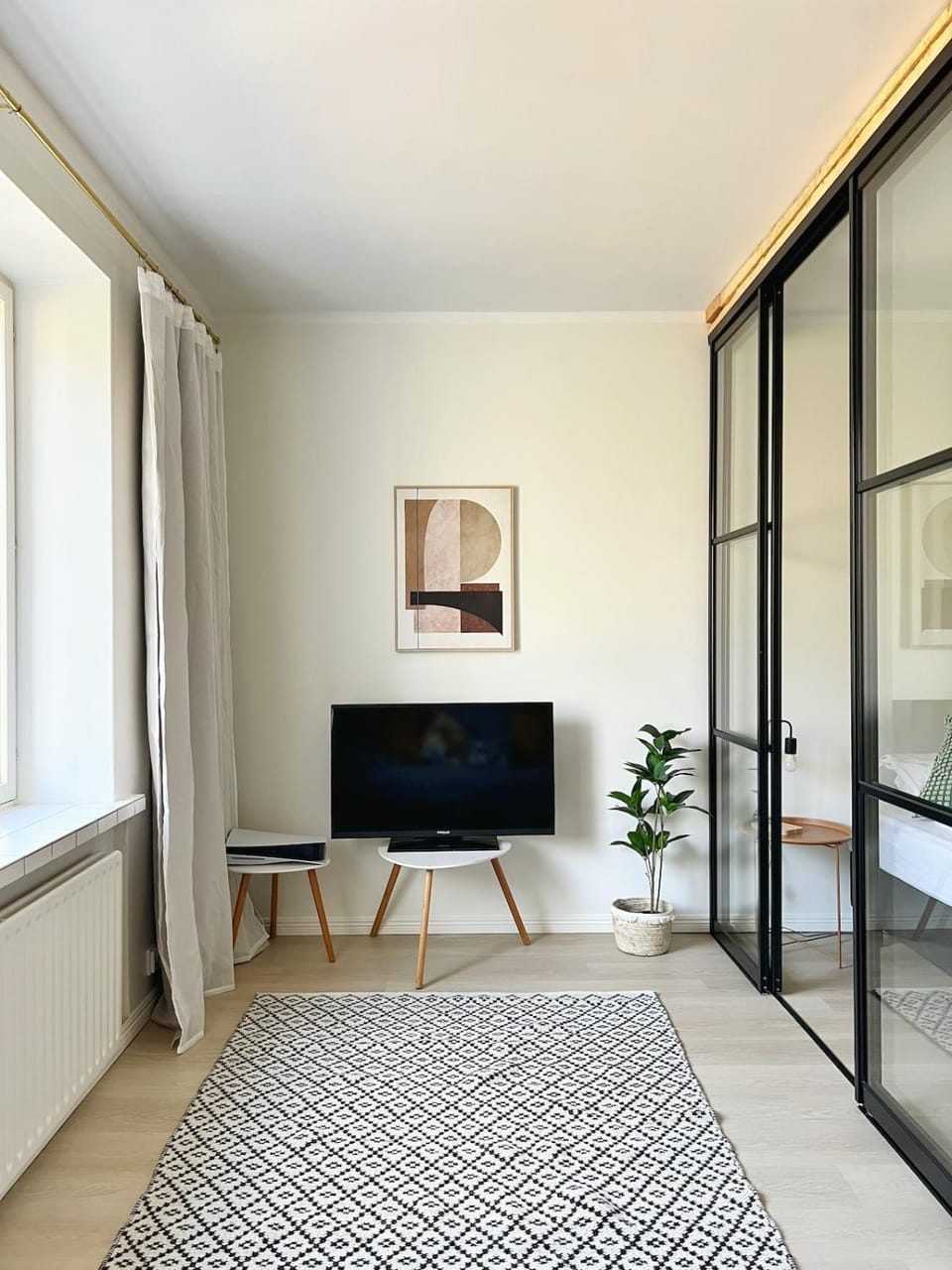 TV and multimedia