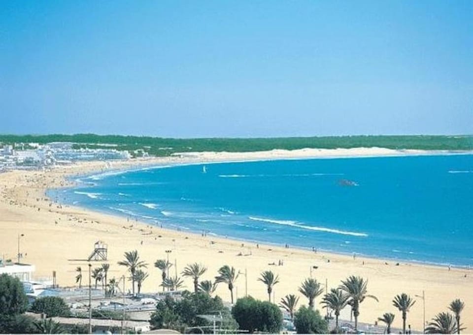 Bird's eye view, Beach