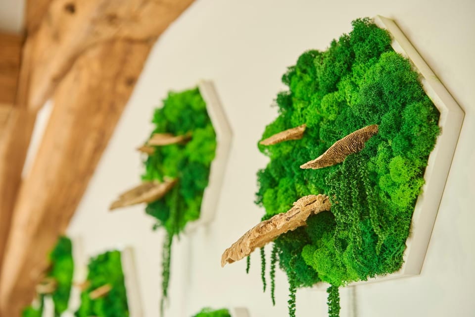 Living room, Decorative detail, Shopping Area