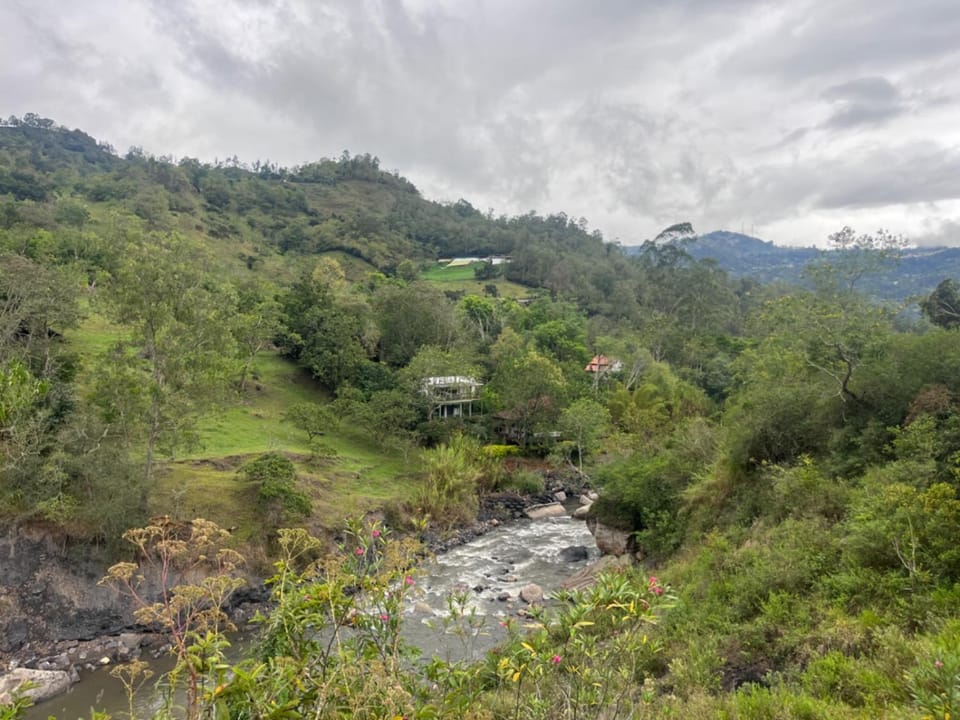 Off site, River view