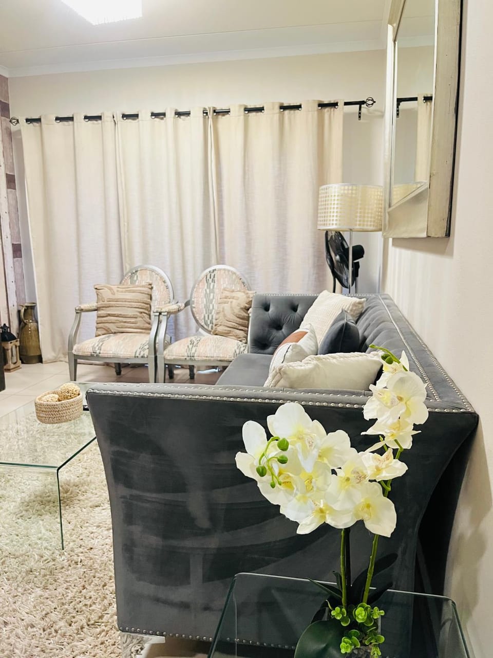 CLASSY and COZY 3 Apartment in Sandton