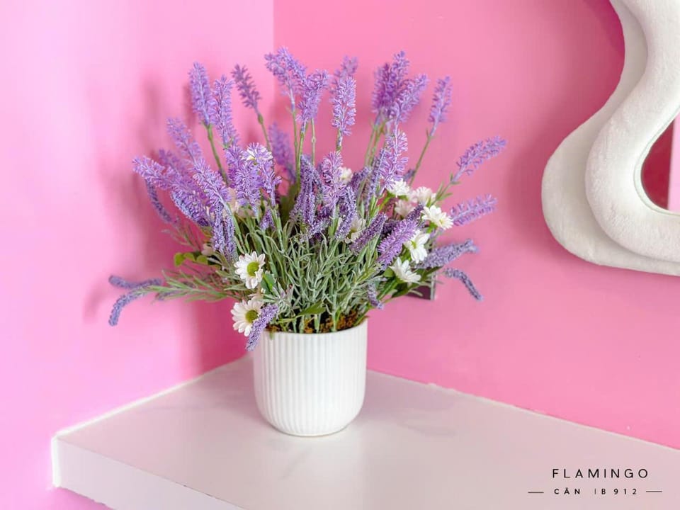 Flamingo Hải Tiến - Thanh Hóa Resort Apartment in Vietnam
