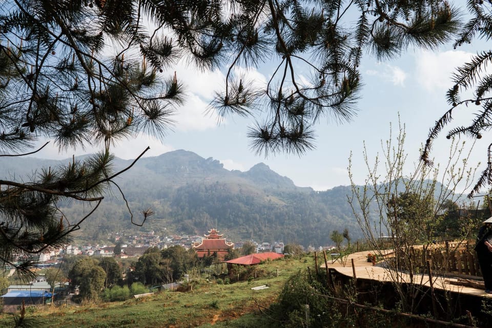 Garden, Mountain view