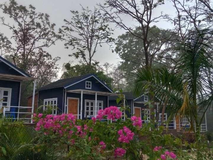 Wild Monk Jungle Retreat - Dandeli Capsule hotel in Karnataka