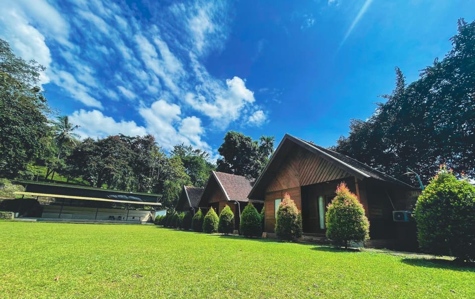 Property building, Spring, Day, Natural landscape, Garden, Garden view