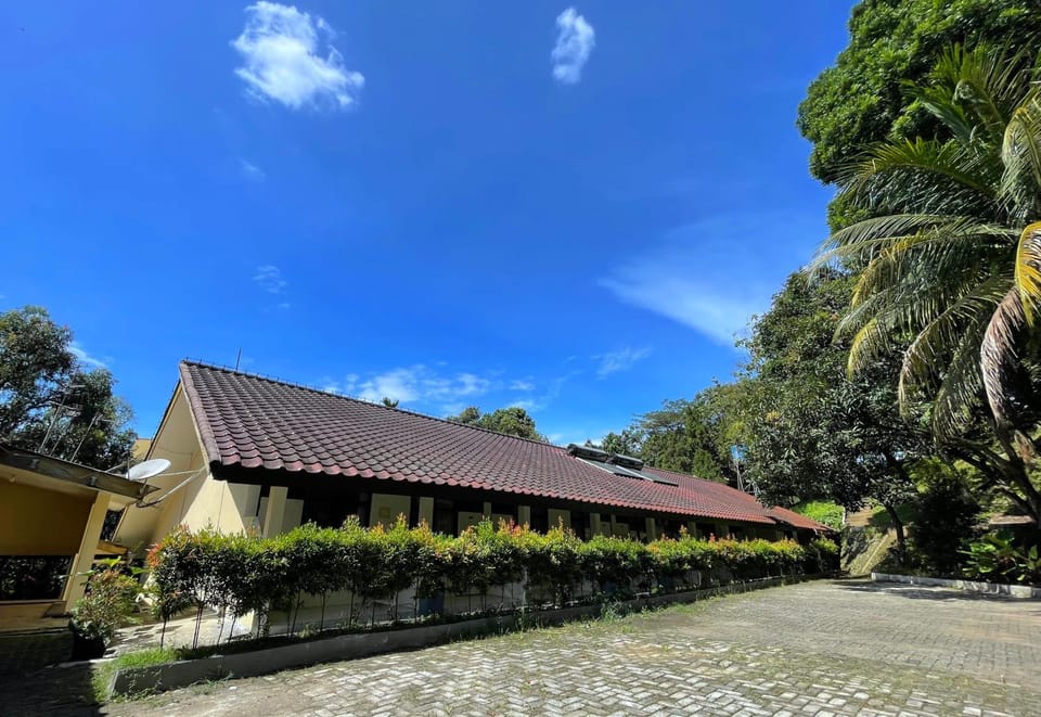 Property building, Day, Garden, Garden view