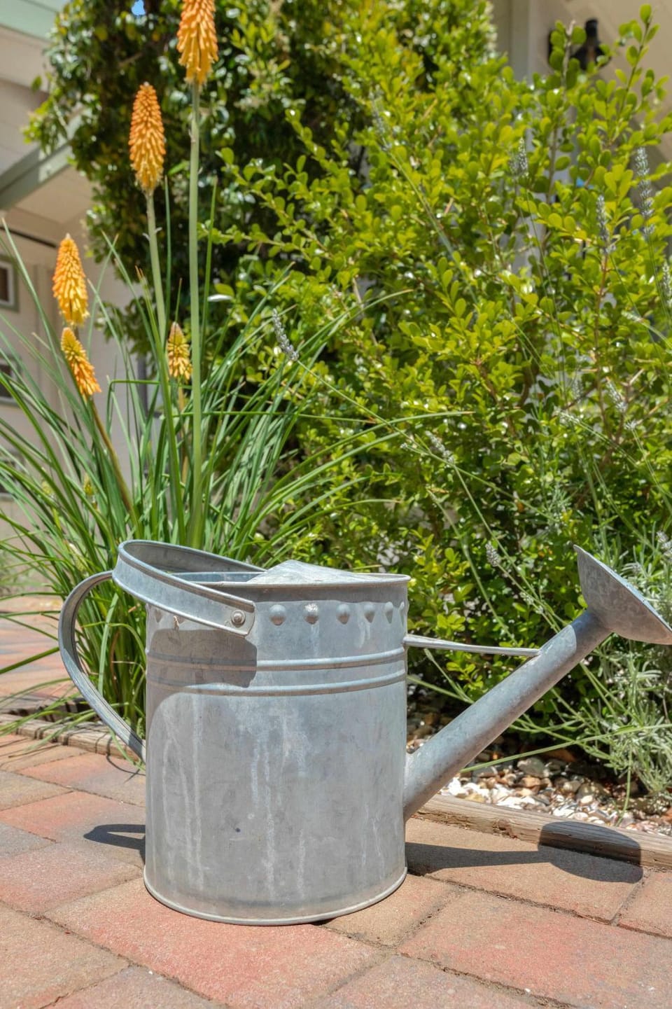 Serene Retreat with Hot Tub - Fire Pit - Deck House in Forestville