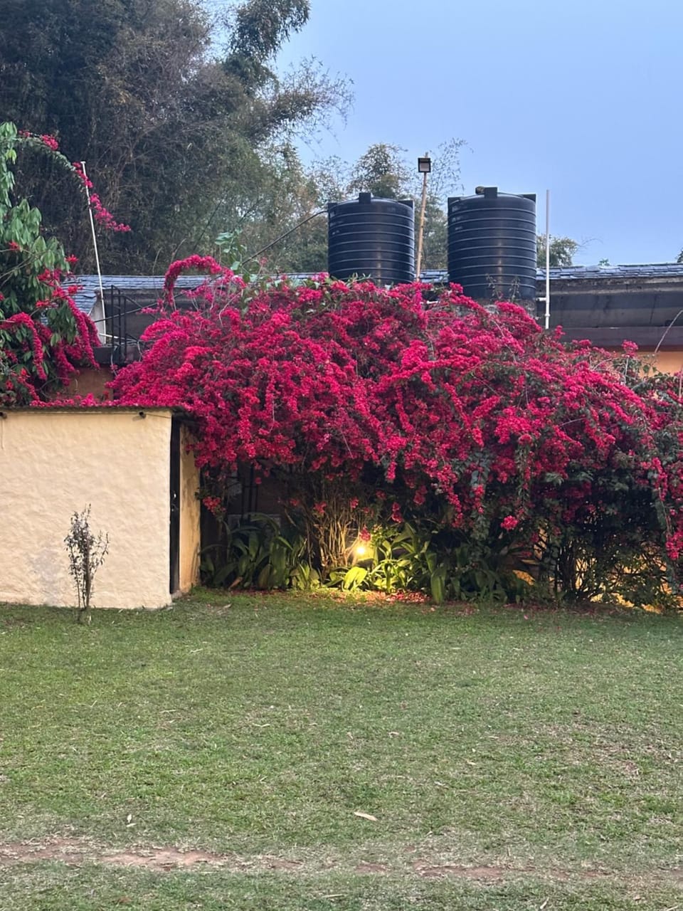 Property building, Spring, Day, Natural landscape, Garden, Garden view