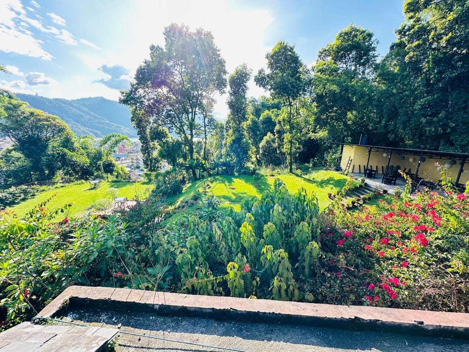 Spring, Day, Natural landscape, Garden, Balcony/Terrace, Garden view, Mountain view