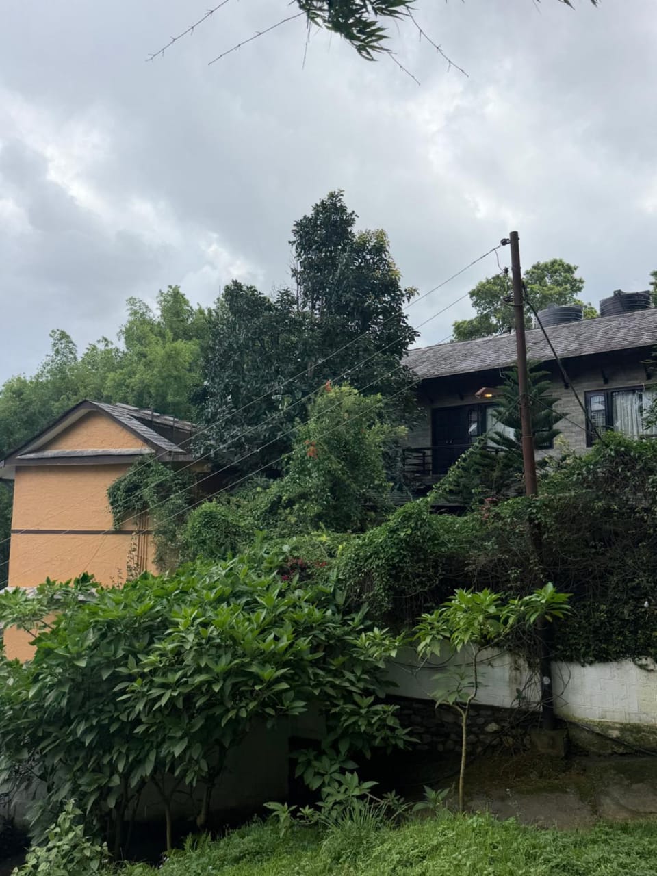 Property building, Spring, Day, Garden, Garden view