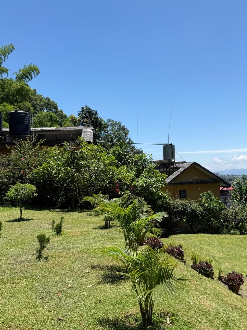 Property building, Spring, Day, Natural landscape, Garden, Garden view