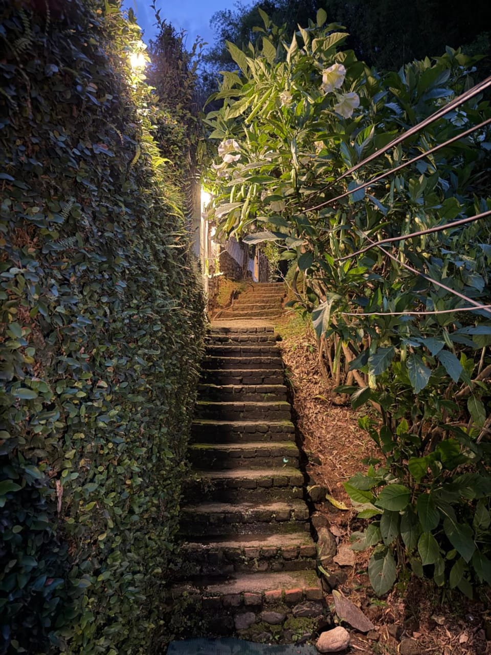 Spring, Natural landscape, Garden, Garden view
