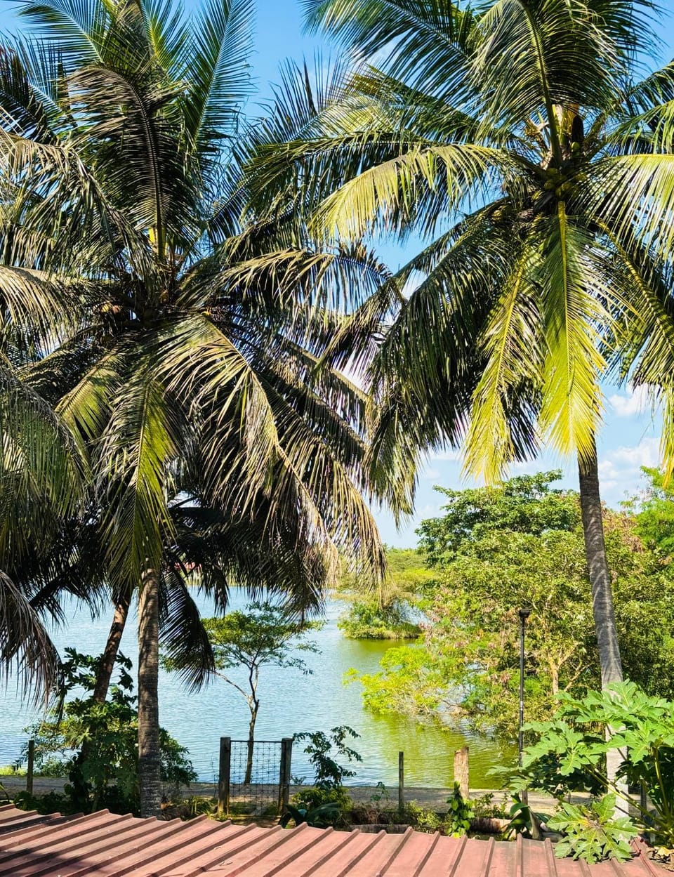 View (from property/room)