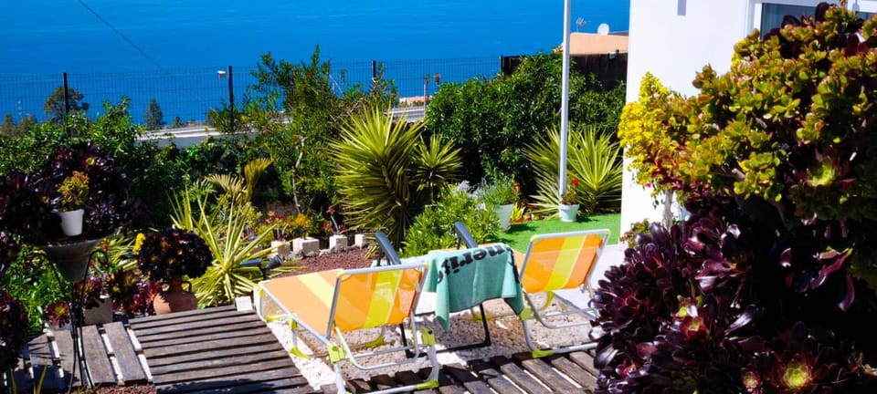 Day, Natural landscape, Garden, Garden view, Sea view, sunbed