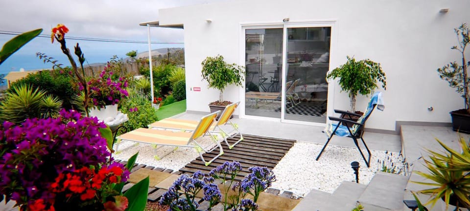 Day, Natural landscape, Garden view, Sea view, sunbed
