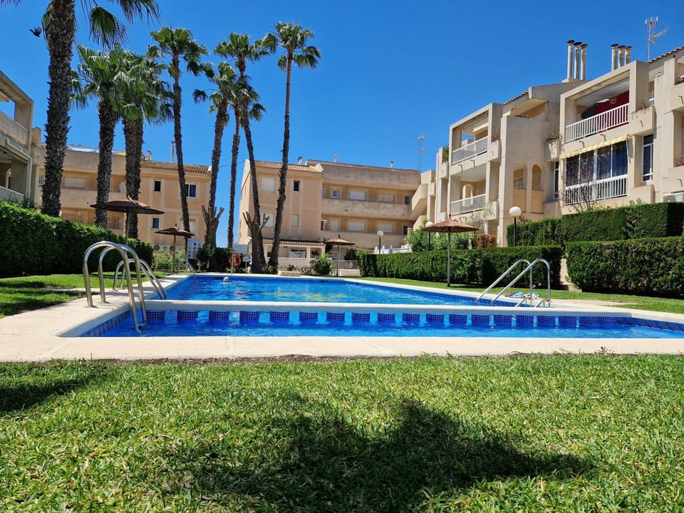 Garden, Swimming pool, sunbed