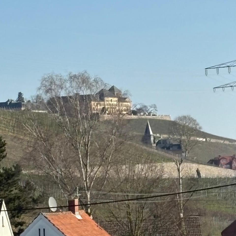 View (from property/room)