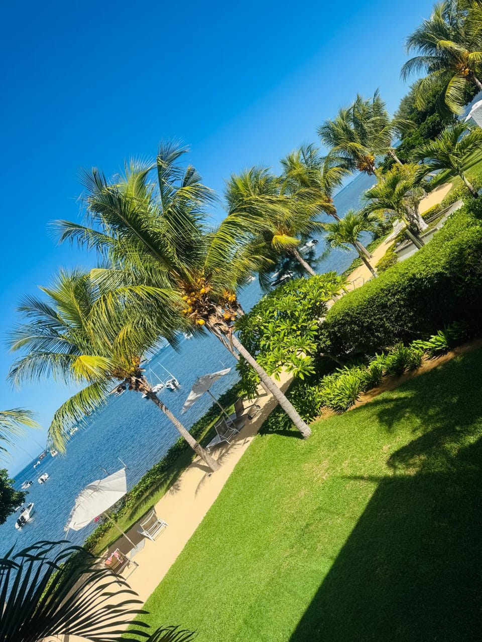 Sea view