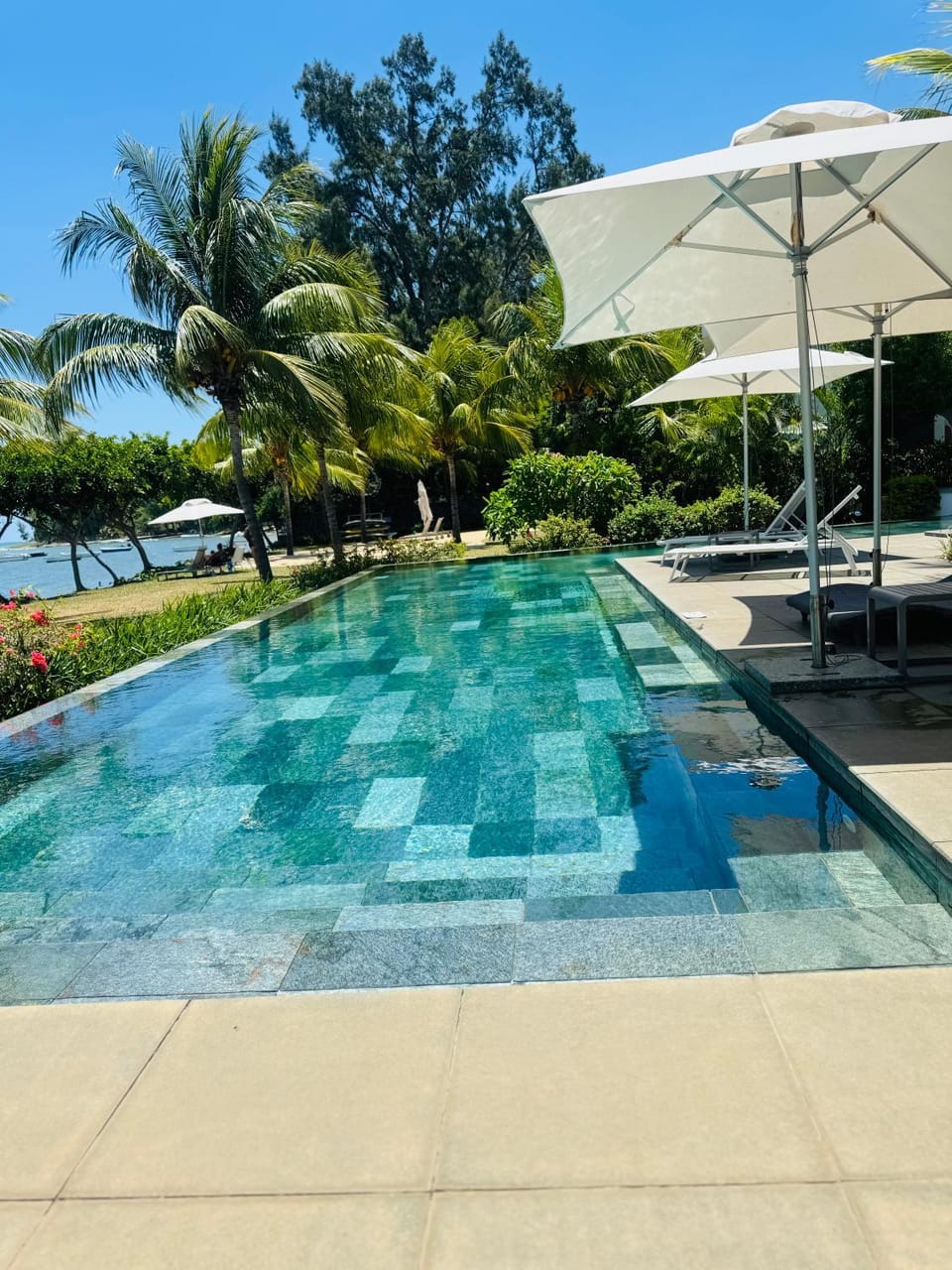 Day, Garden, Garden view, Pool view, Swimming pool, Swimming pool, sunbed