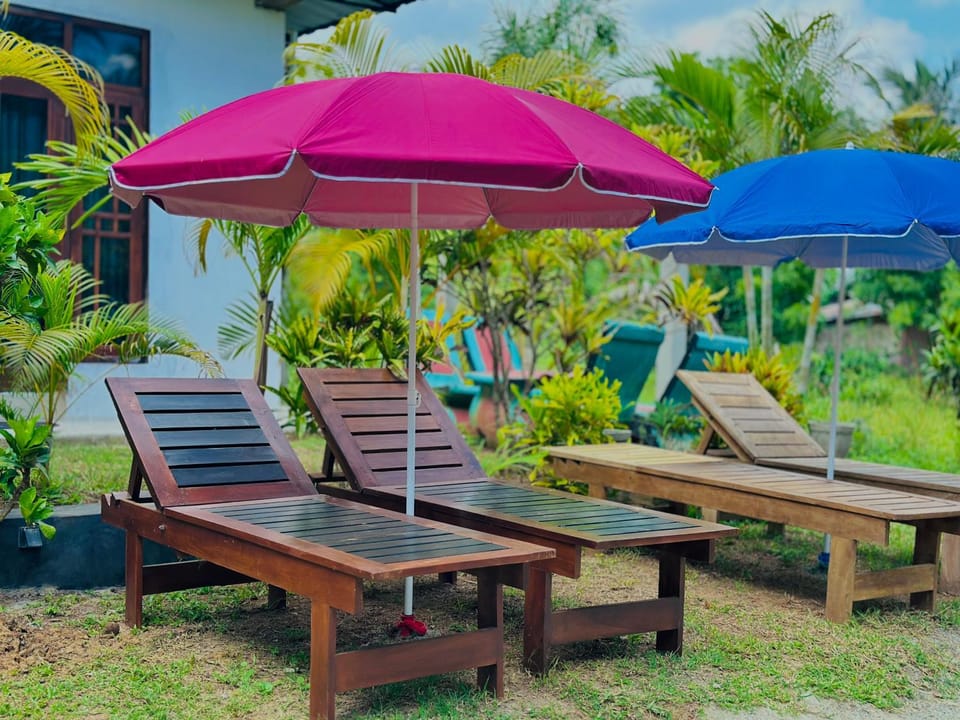 Patio, Spring, Day, Garden, Garden view, sunbed