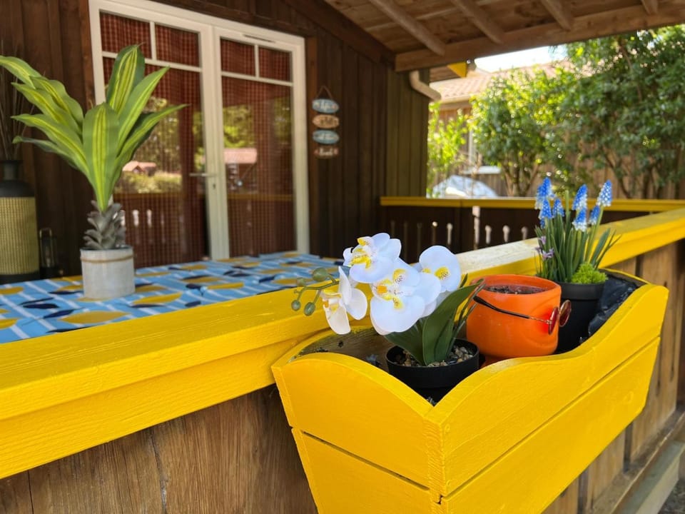 Chalet bois tout équipé 35 m2 2 chambres terrasse couverte place parking piscine collective 4 personnes Chalet in Arès