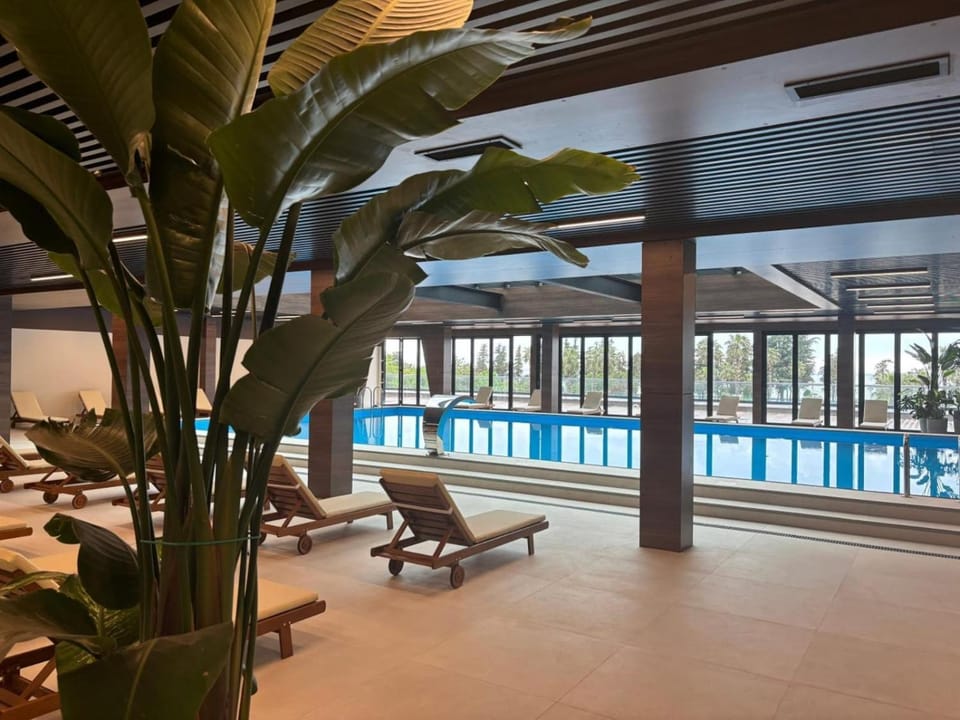 Pool view, Swimming pool, Swimming pool, sunbed