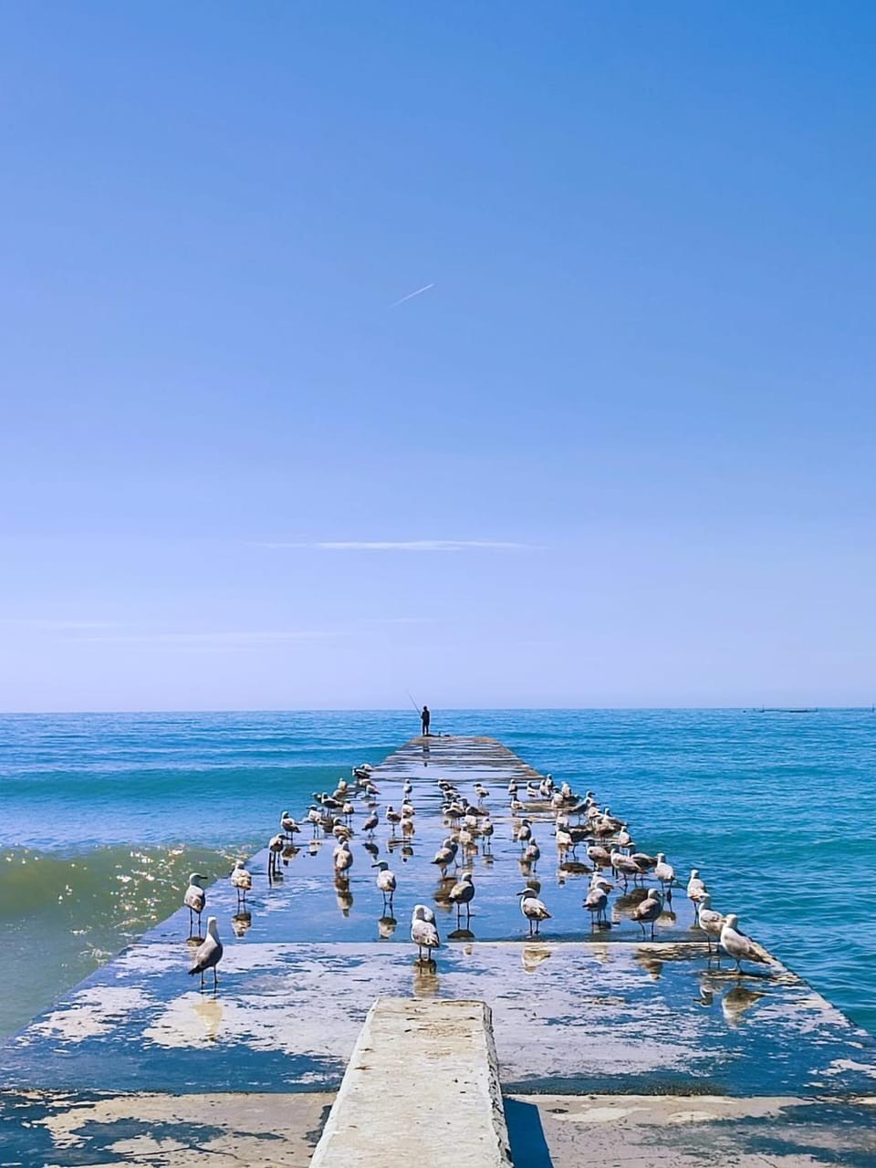 Day, Natural landscape, Sea view