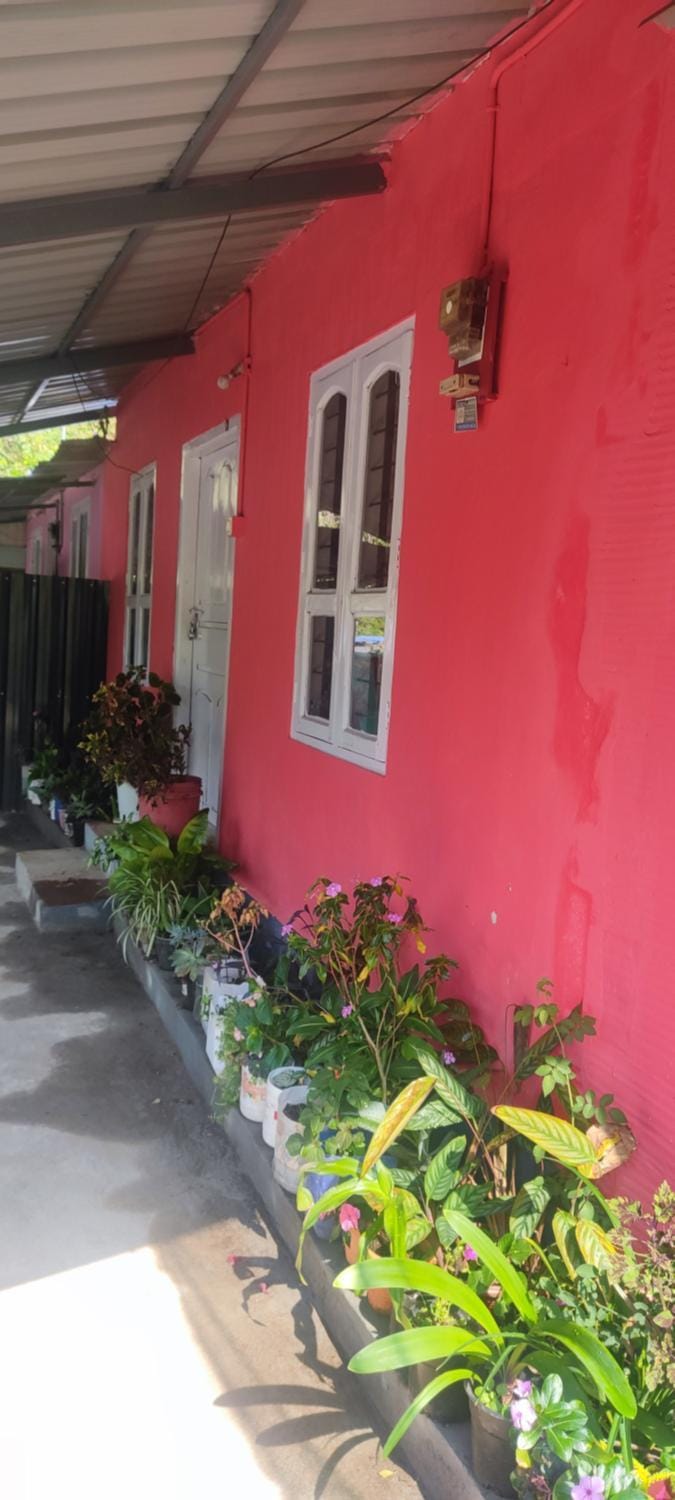 Property building, Garden, Garden view