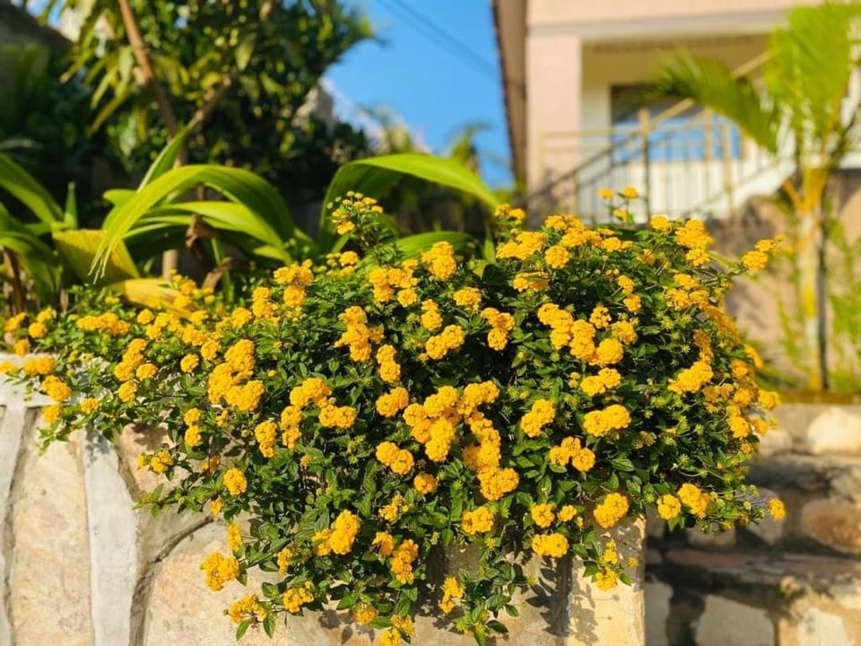 Blooming Homes Uganda Apartment in Kampala