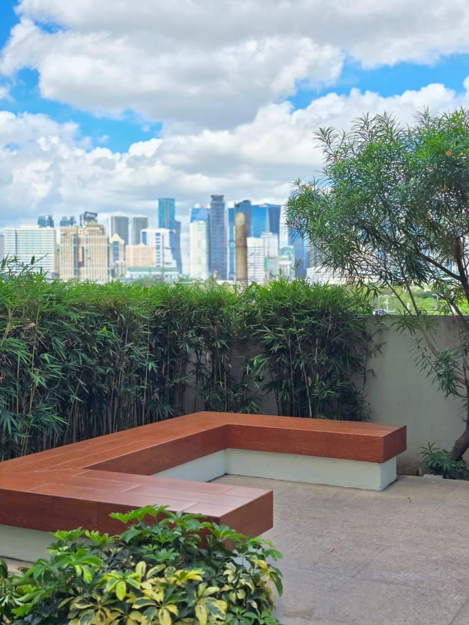Garden, City view