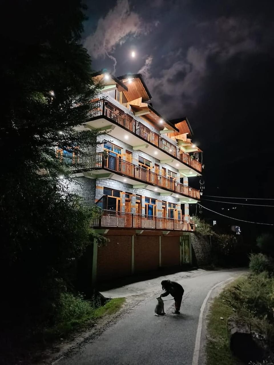 Property building, Night, Neighbourhood, Street view