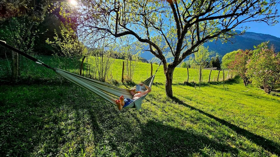 Natural landscape, Garden, Garden view, Mountain view