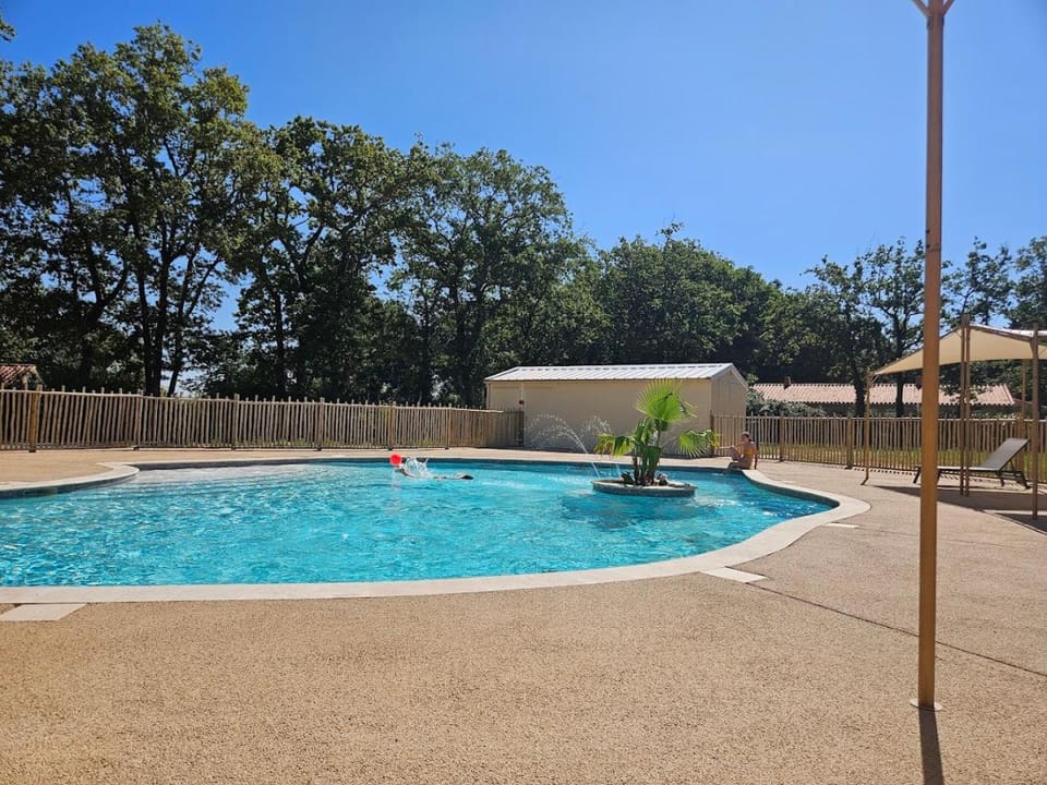 Day, Pool view, Swimming pool, sunbed